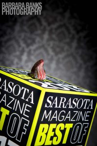 SarasotaMagazineBestof2013-139
